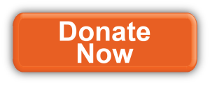 BUTTON-DONATE-NOW